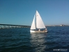 sailing_11-2