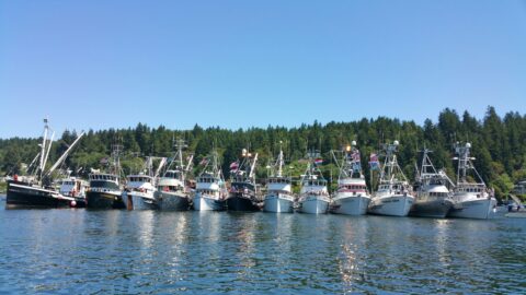 Gig harbor net shed 9