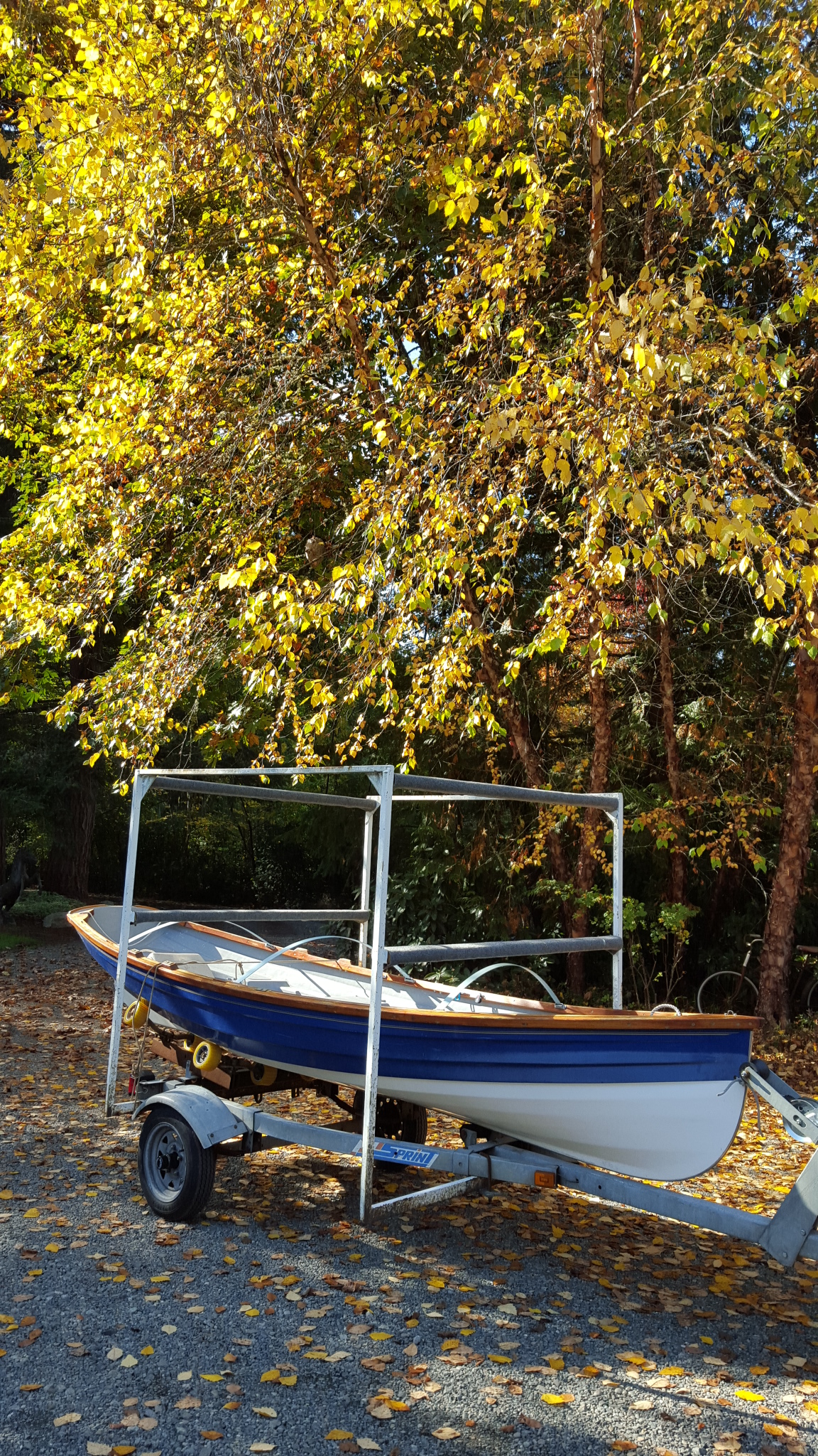 Fall boat