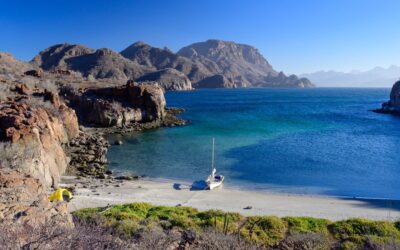 Tides of Change: Wild Places Last Chapter in the Sea of Cortez